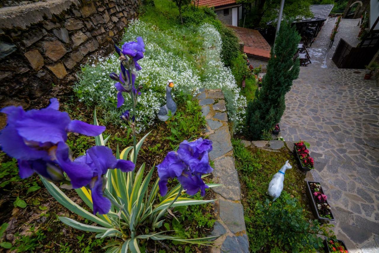 Hotel Manastir Sv. Joakim Osogovski Kriva Palanka Exterior photo